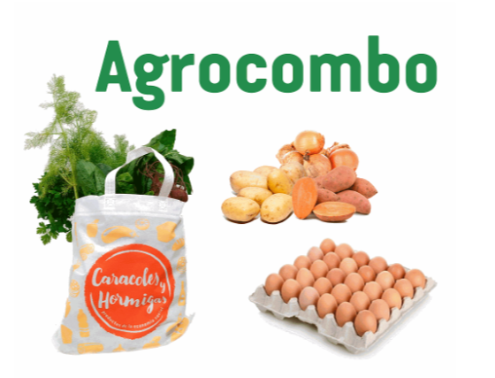 Imagen ilustrativa de AGROCOMBO (Bolsón de verduras+Bolsón pesadas+Maple)