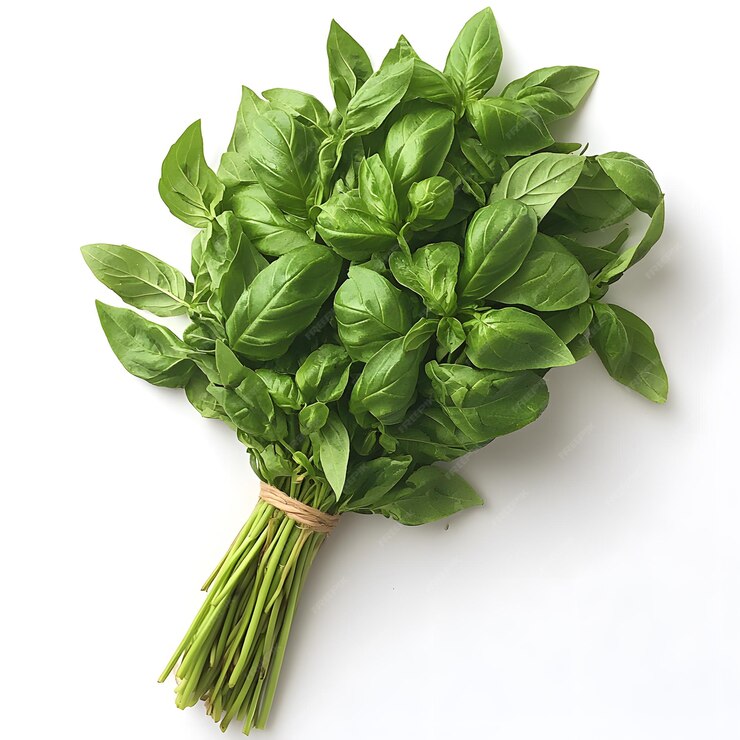 Imagen ilustrativa de Albahaca agroecologica por atado