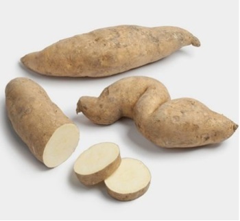 Imagen ilustrativa de Batata Blanca agroecologica 1K