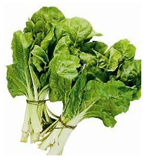 Imagen ilustrativa de Acelga Agroecológica x atado