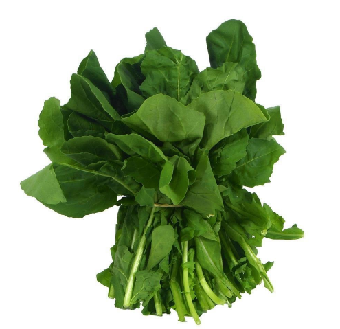 Imagen ilustrativa de Rucula agroecológica x atado