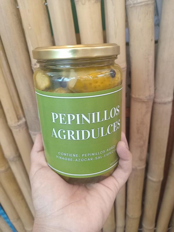 Imagen ilustrativa de Pepinillos agridulces Agro 360cc Sabores del Delta